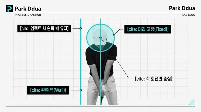 스크린 골프 나스모 자가 진단 스윙 교정 데이터 분석 가이드 삽화